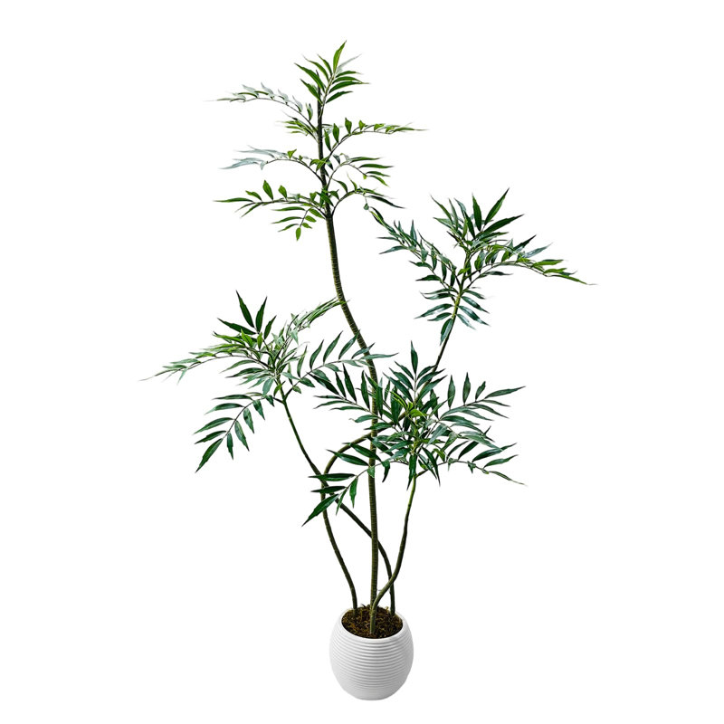 25cm Plant