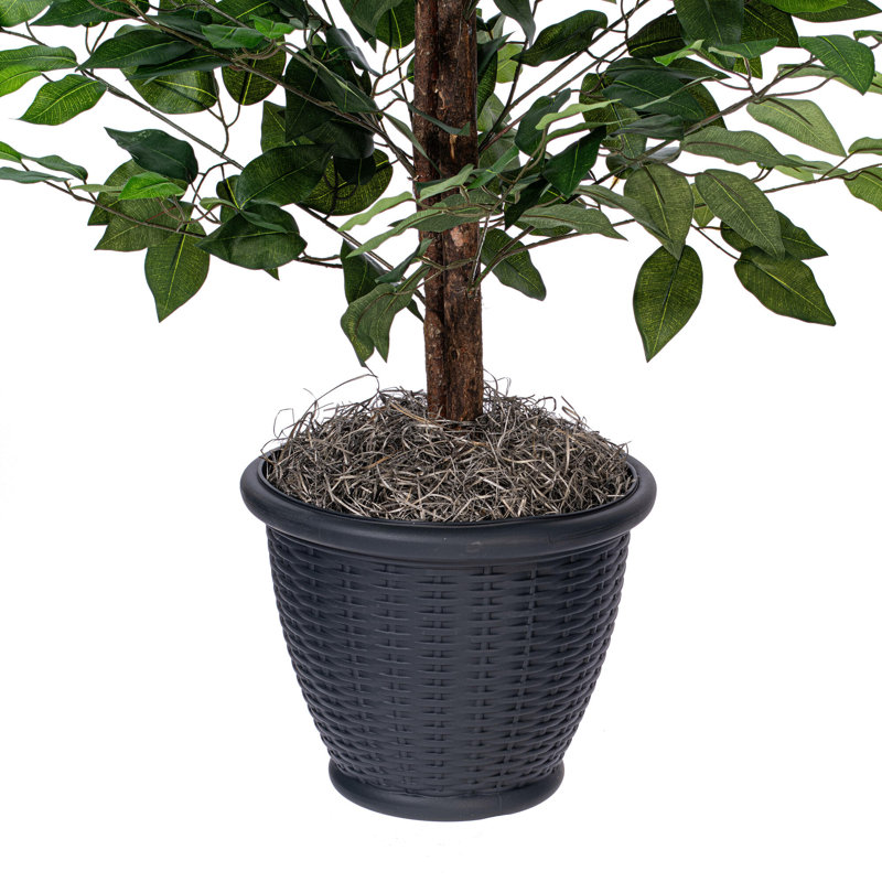 Ficus artificiel 4 ', contenant en plastique, gris