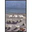 Humor De Vacay Photographic Print Canvas-73093379-73093380