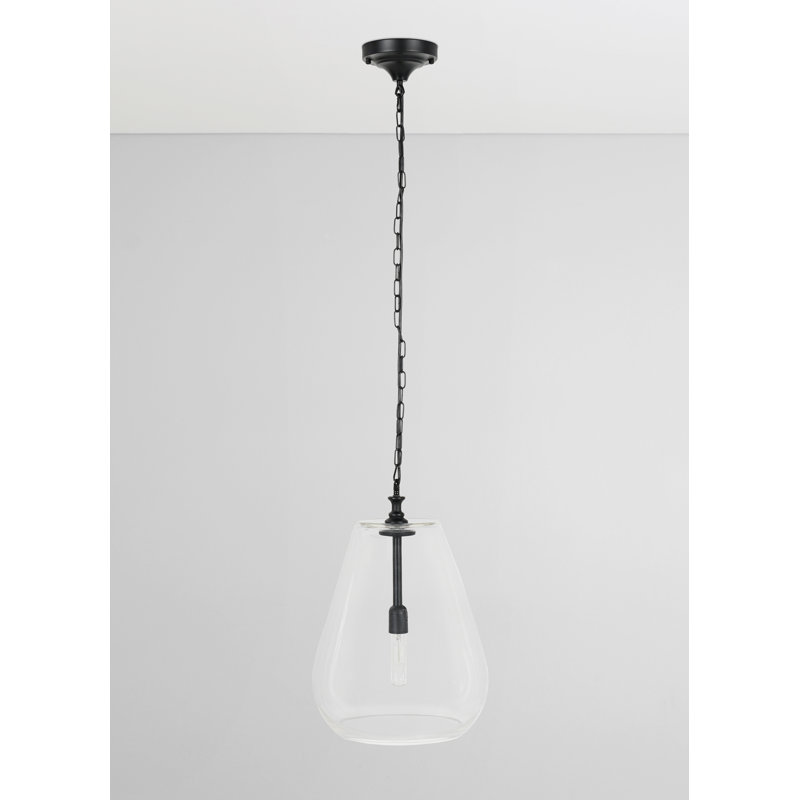 Matte Black Mini Pendant Light with Clear Glass Shade
