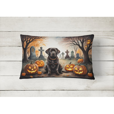 Other/No Pattern Outdoor Throw Pillow