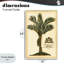 Giclée vintage encadrée de palmier colonial, design par Vision Studio-1278385238-1278385237
