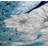Heiden Floral Shower Curtain