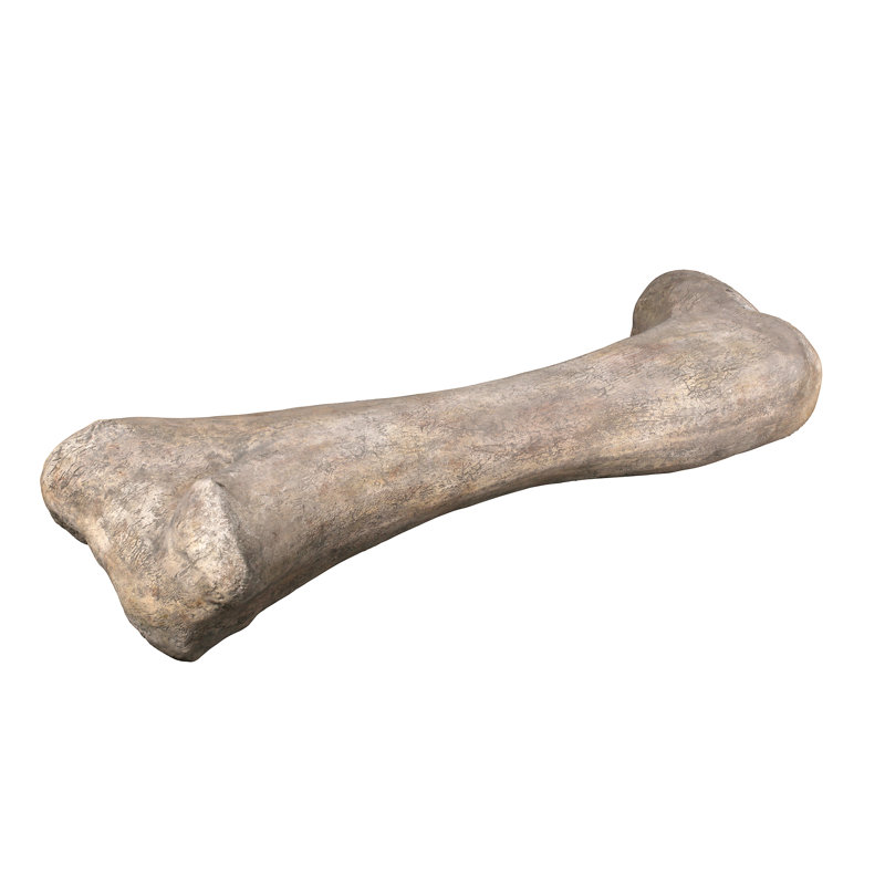 Statue de jardin Apatosaurus