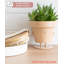 Cute Pots Pot Planter