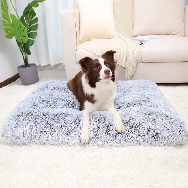 Matelas anti-dérapant lavable pour lit de chien pour petit chien 38 po x 26 po rose, Moyen (l 26 po x P 38 po x H 3,6 po)