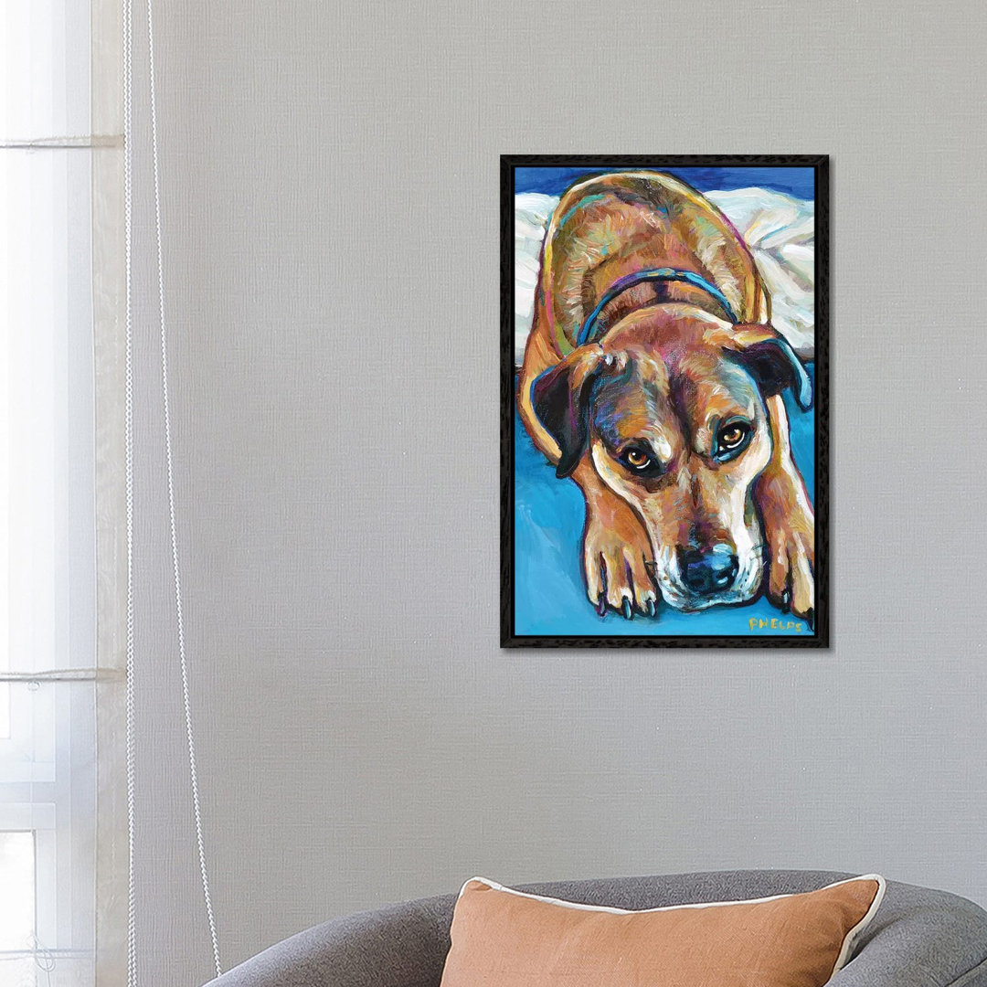 Sienna The Mastiff Mix von Robert Phelps - Galerie-verpackte Leinwand Giclée auf Leinwand