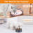 Pet Bowl-98664299