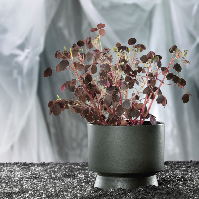 Pot à fleurs en plastique recyclé, Vert, H 6,5 po x l 7,5 po x P 7,5 po