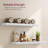 Floating Shelves, Wall Mounted-1875720751