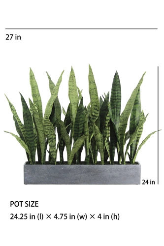 27" Potted Snake Plant - Natural, Gray