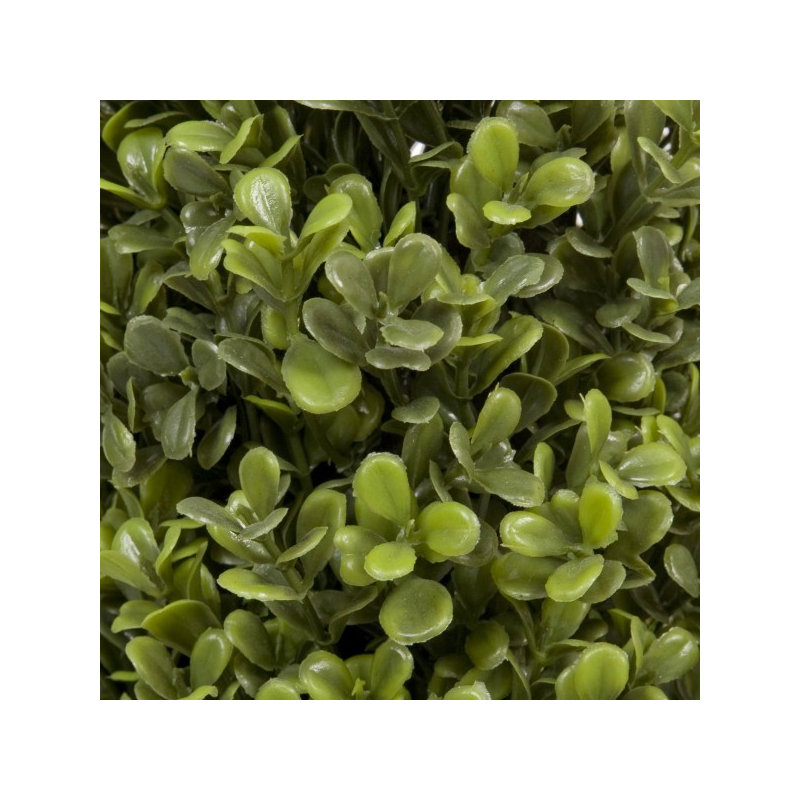 94cm Plant