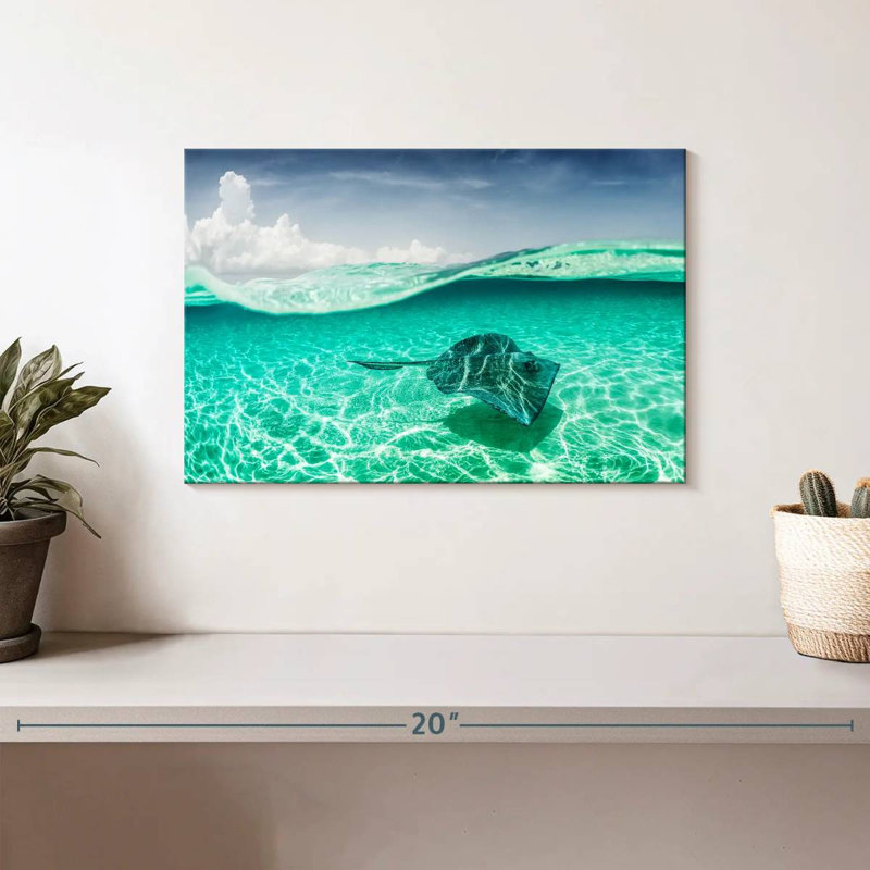 Brampt Manta Ray Underwater, 8" H x 12" W