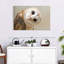 Hibou Brampt-107679677