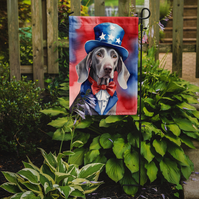 Drapeau patriotique du jardin américain, Braque de Weimar
