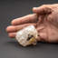 Grappe de quartz Herkimer du comté de Herkimer, New York (120,7 grammes)