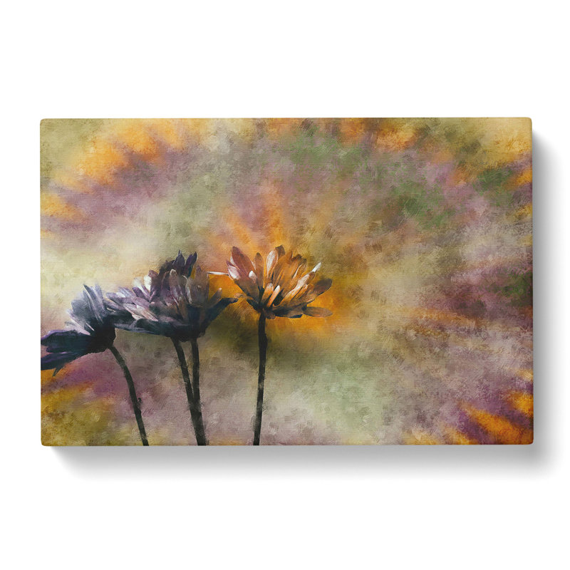 Three Daisies - Wrapped Canvas, 40cm H x 60cm W x 3cm D