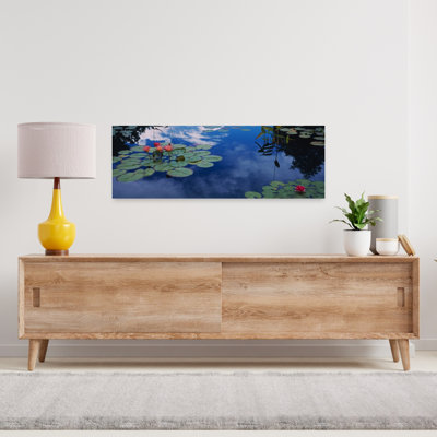 Water Lilies In A Pond, Denver Botanic Gardens, Denver, Denver County, Colorado, Usa Abstract Contemporary Lily City Flower Wall Art