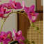 Ornement en forme de papillon-1303618550