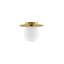 Benjamil Glass Flush Mount