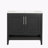 Bathroom Vanity with Sink-338765868
