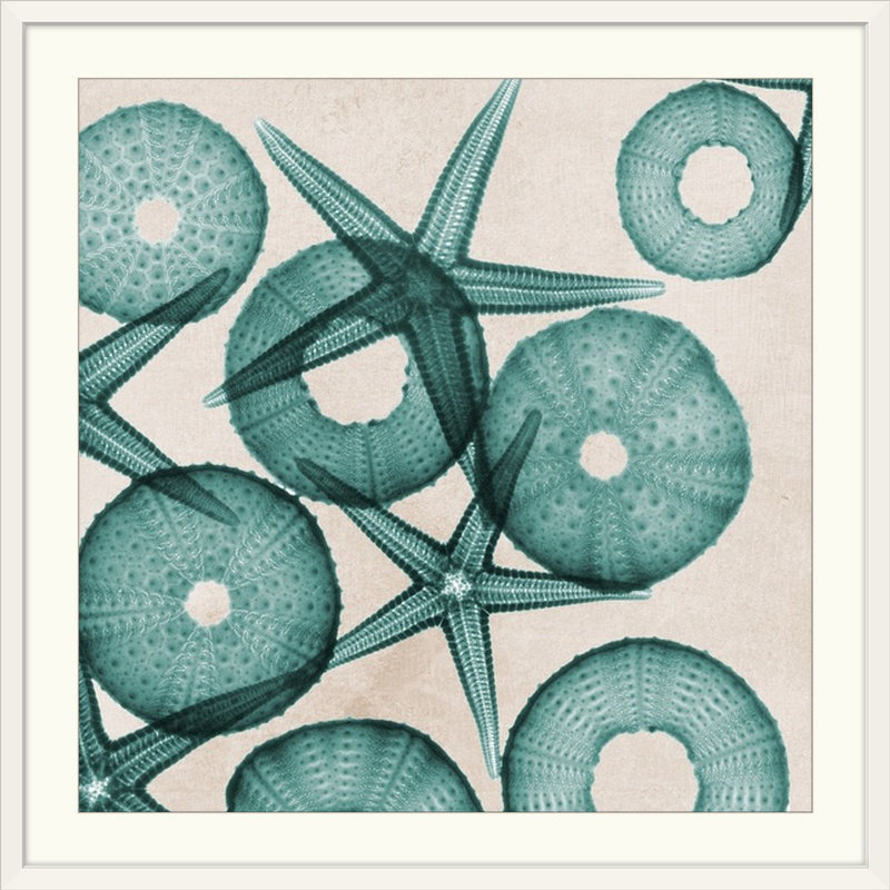 « iii x-ray » par albert koetsier,, reproduction de photo Under the Sea, H 28 x l 28 po x P 1 po, Cadre blanc