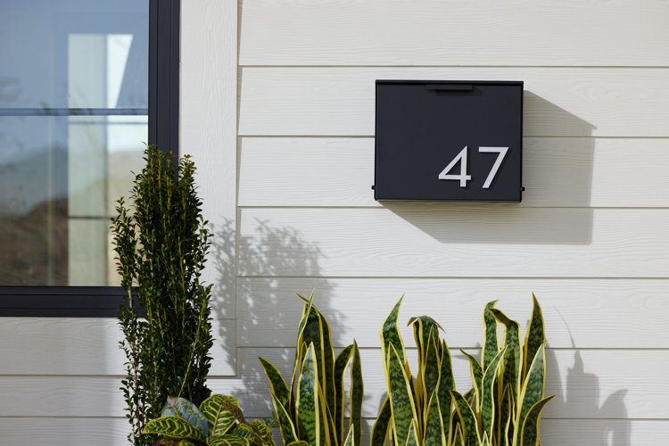black wall mount mailbox above live green plants