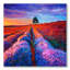 Champ de lavande avec arbre lointain et lueur du soir - Peinture sur toile-59756917-59783126