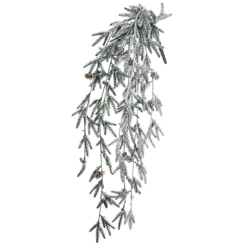 Naes Pine Cascade Bush Plant