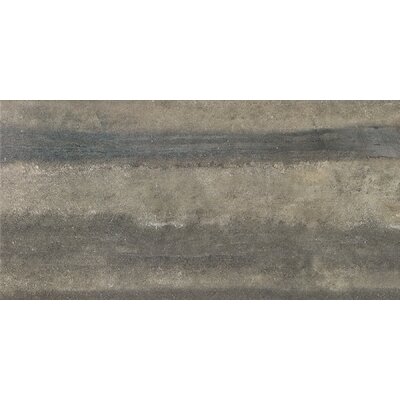 Enrichment 12"" x 24"" Porcelain Field Tile in Earth -  Parvatile, PVTL2166 33946146