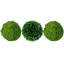 Boîte de 3 boules topiaires Jayceon