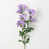 Mauve est en rupture de stock