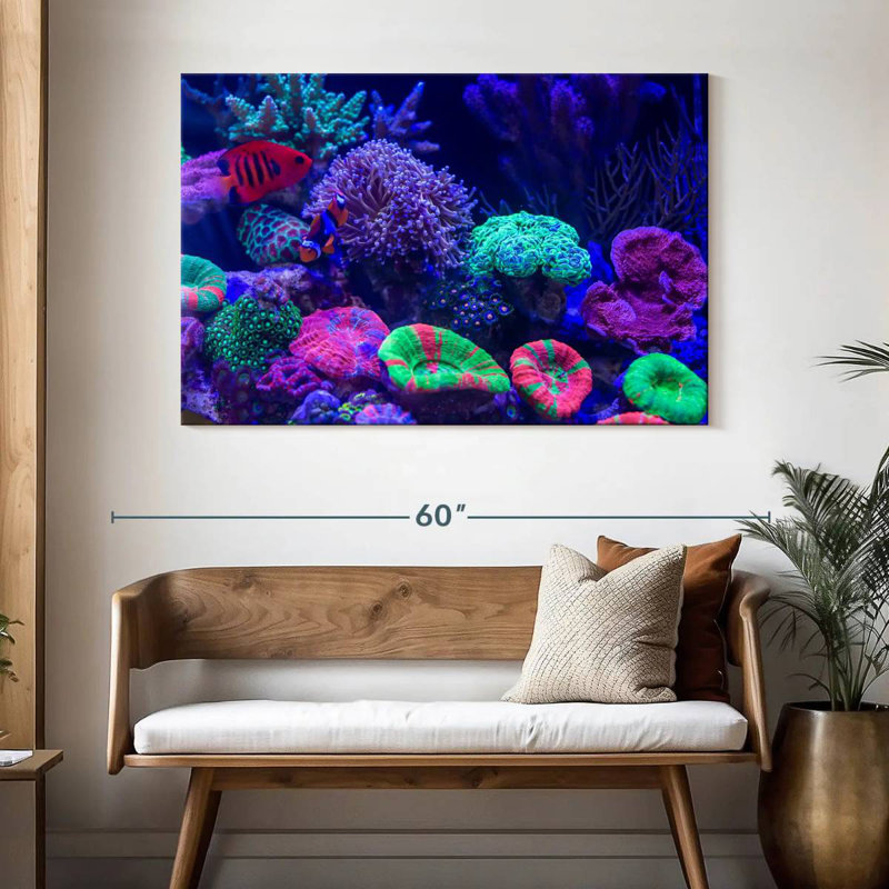 Coral Homes For The Fishes, H 32 po x l 48 po