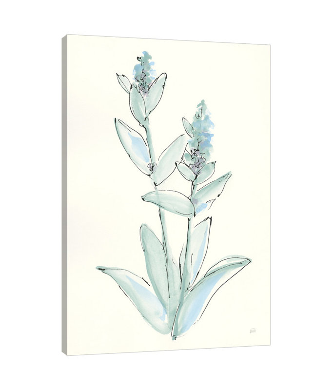 «Lambs Ear Sage IV», toile tendue par Chris Paschke, H 36 po x l 24 po x P 1,5 po