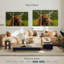 Brampt Highland Cow sur herbe-107997062
