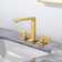 Widespread 2-handle Bathroom Faucet with Drain Assembly