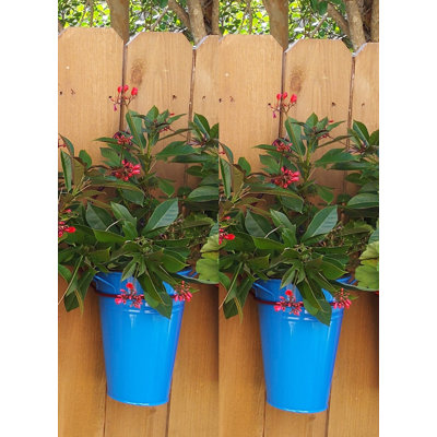 Ensemble de 2 pots à fleurs avec support en fer