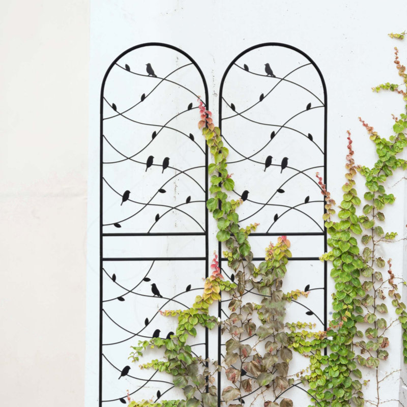 Ensemble de 2 treillis de jardin en métal 71 po x 19,7 po antirouille pour plantes grimpantes