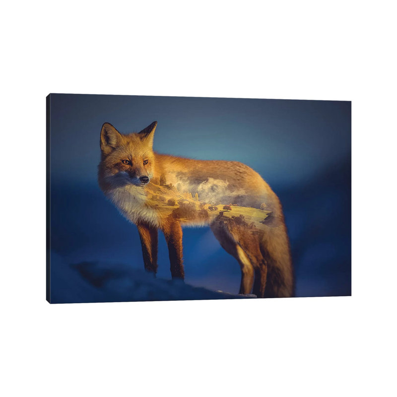 Foxscape by Paul Haag - Print on Canvas, Wrapped Canvas, 20.32 cm H x 30.48 cm W