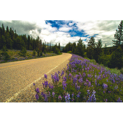 Purple Road - Wrapped Canvas Print
