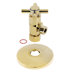 Polished Brass
