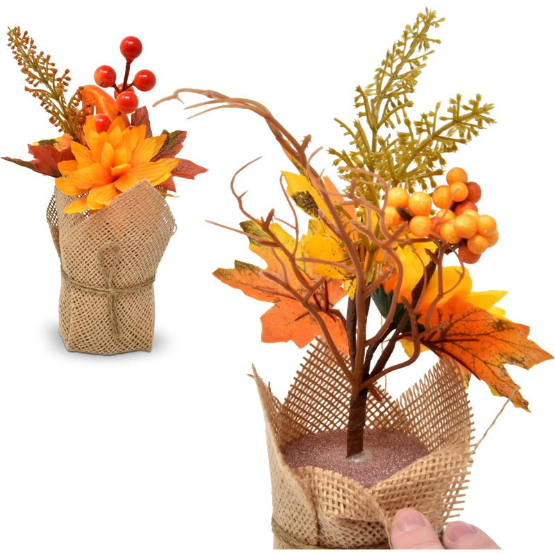 10 plantes