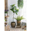 Ensemble de 2 pots de fleurs en fer vieilli, L: 13 x 13 x 14,5 po: 11 x 11 x 13,5 po