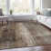Machine Washable Indoor/Outdoor Xhevrie Brown Rug