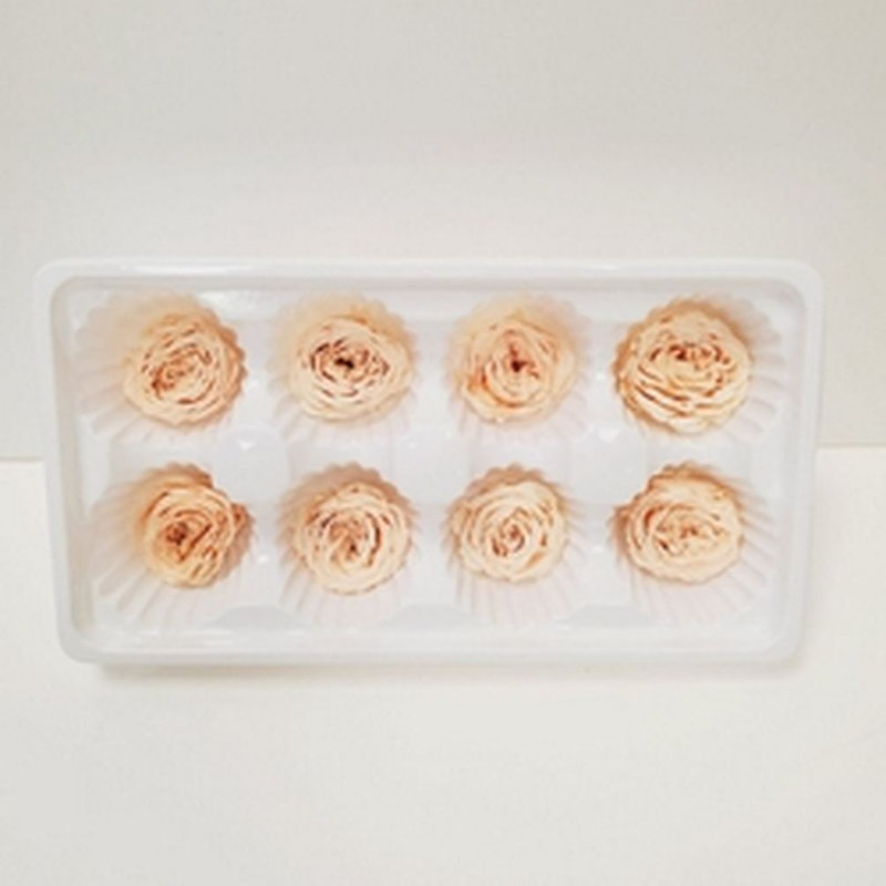 Rose Arrangement, Peach