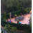 1.5 ft. H x 1.5 ft. W Artificial Ficus Fence Panel