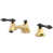 Polished Brass/Black Nickel is out of stock