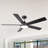 Katlain Ceiling Fan with LED Lights