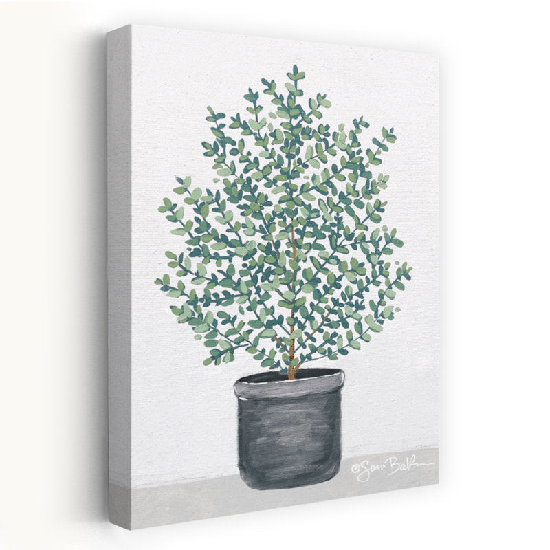 Patience en pot II - art de verdure en pot, H 60 po x l 40 po