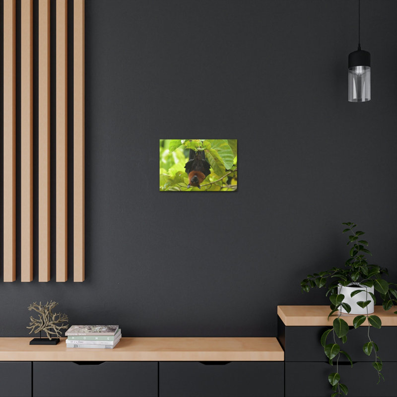 No Frame Print on Canvas, 12cm H x 16cm W